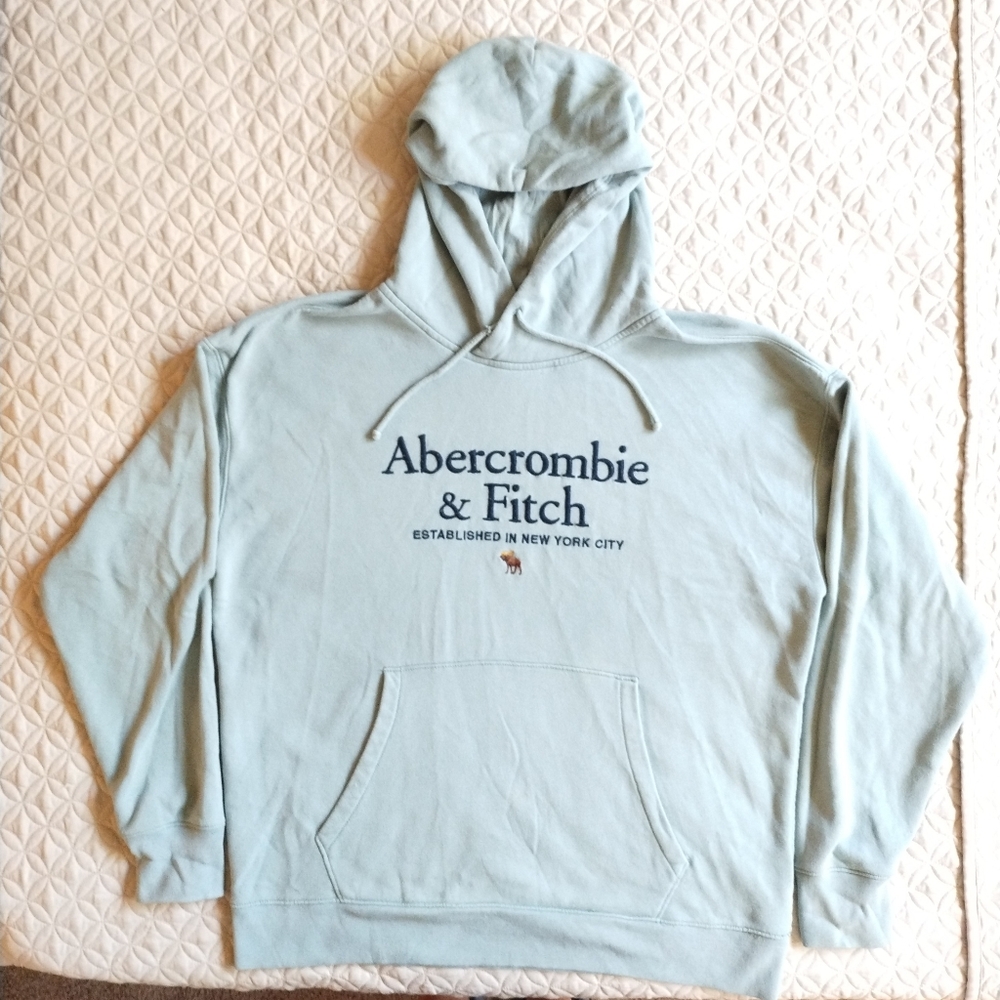 Abercrombie & Fitch Light Green Men's Vintage Moose Hoodie XL